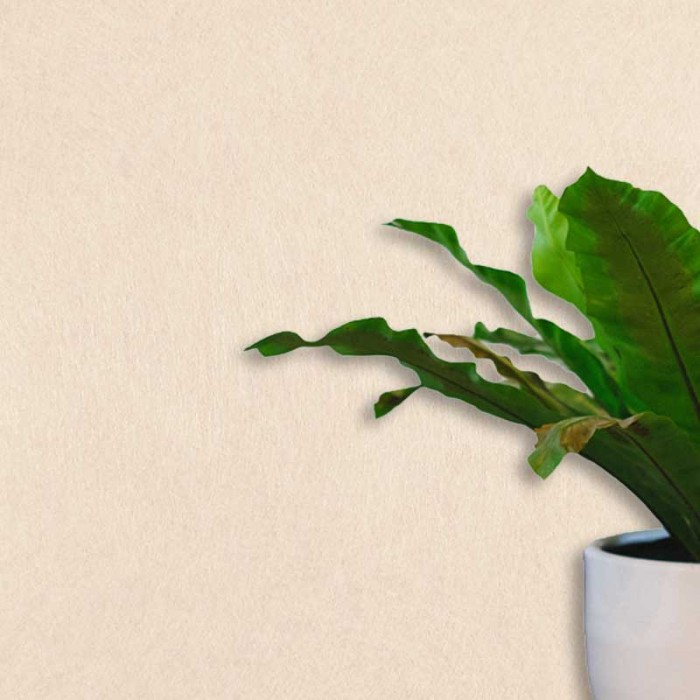 Малярный флизелин Oscar Fliz OsF130, 1*25 м