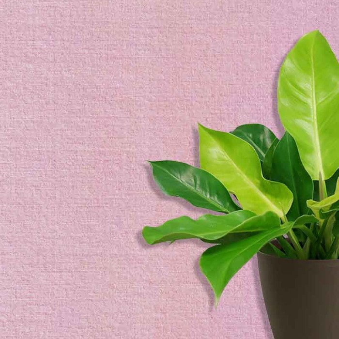 Стеклообои SYSTEXX Pure Silk 060 (шёлк)