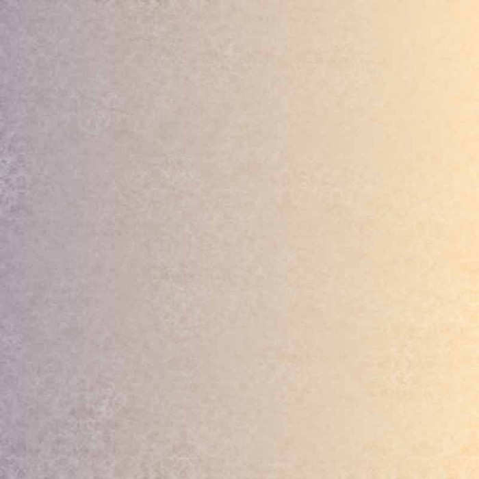 Стеклохолст-паутинка Profitex AW-40, 1*50 м