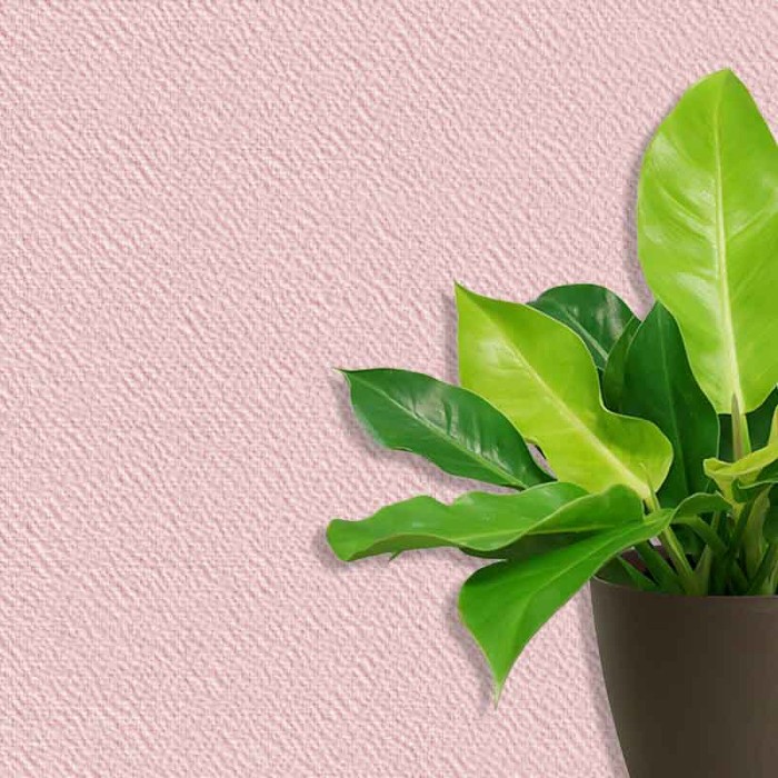 Стеклообои SYSTEXX Pure Structure 658 (креп)