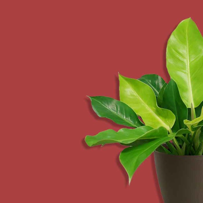 Стеклохолст SYSTEXX Pure Fleece V22 (суперфинишное покрытие)