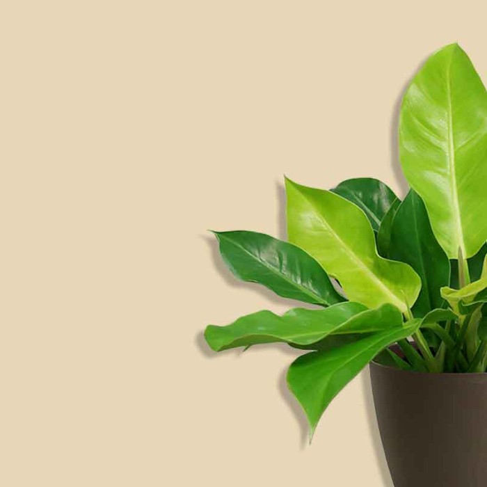 Стеклохолст modern walls Fleece VPP200