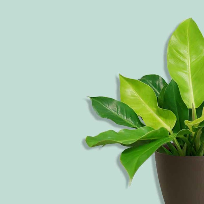 Стеклохолст modern walls Fleece VPP100