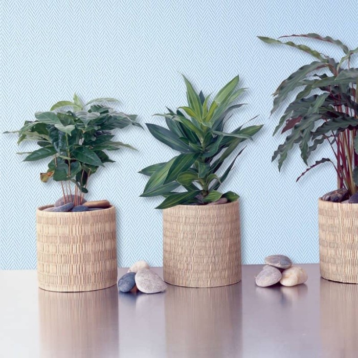 Стеклообои Елка мелкая WO116 Wellton Optima